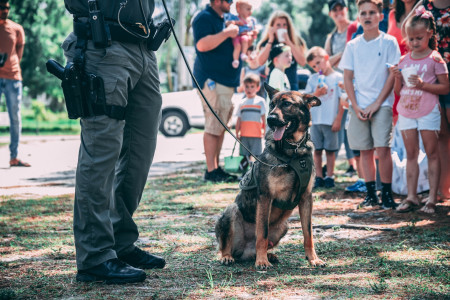 Les Chiens Détecteurs : un duo Maître-Chien exceptionnel au service de la sécurité