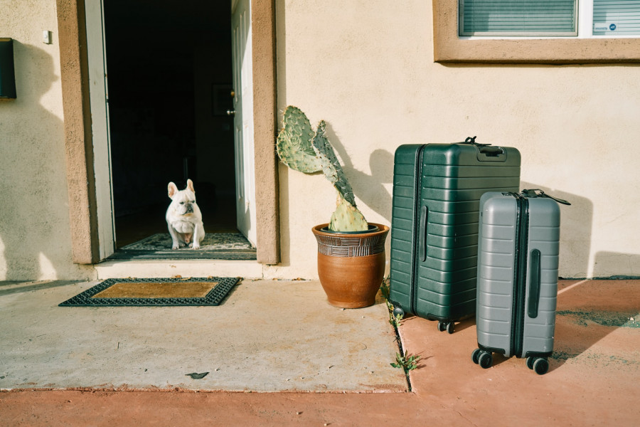 Garde de chien à Toulouse pour vacances de février