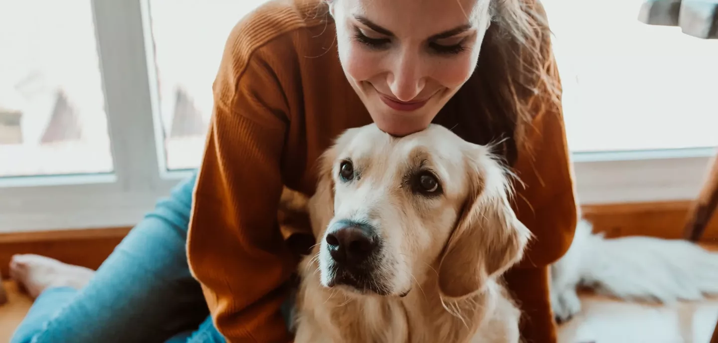 famille d'accueil pour chien à toulouse