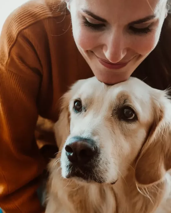 famille d'accueil pour chien à toulouse