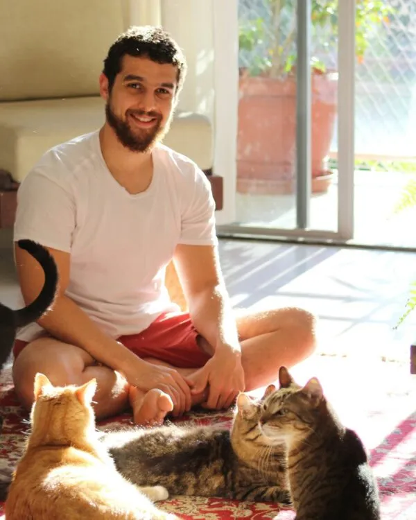 famille de garde de chats à toulouse