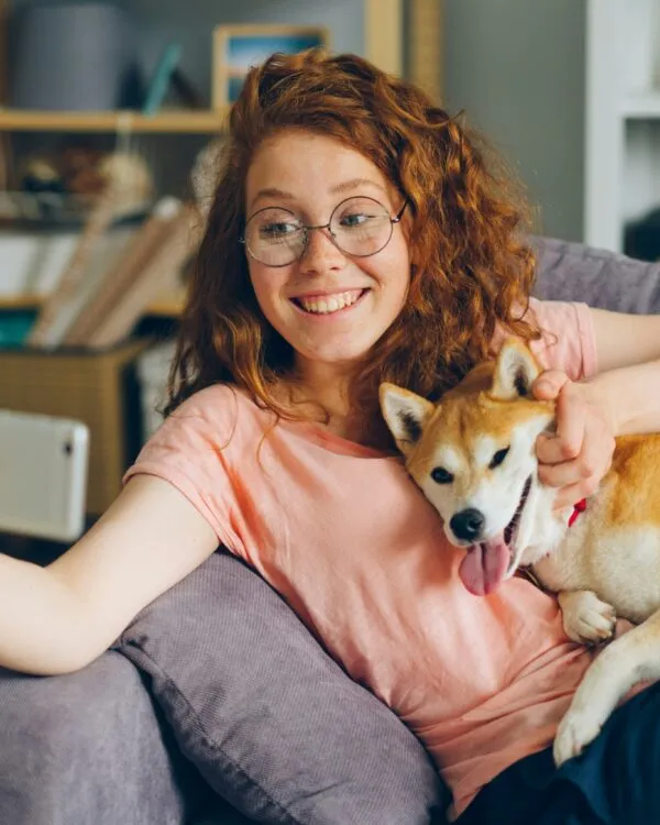 garde d'animaux en probité
