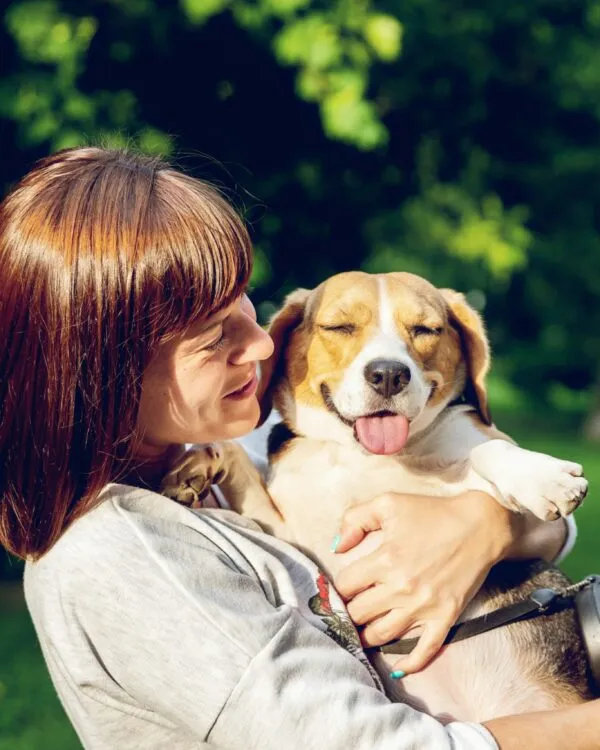 garde de chien professionnelle