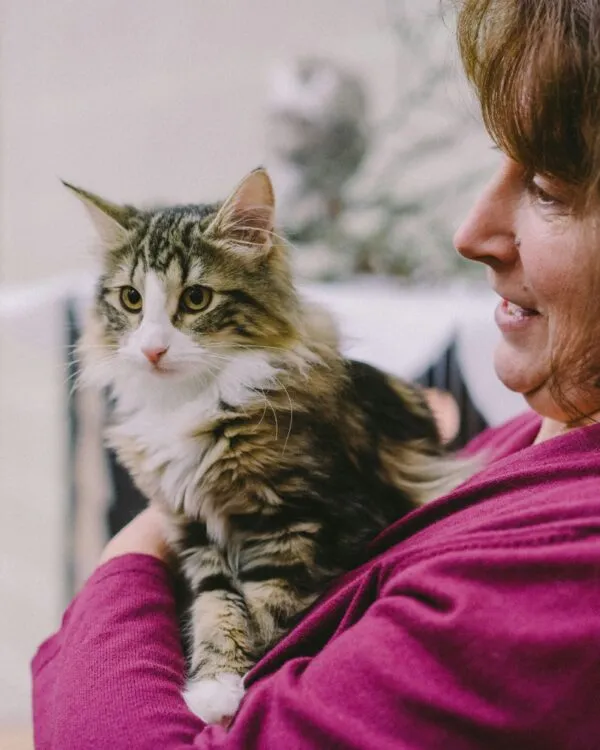 cat sitter à toulouse