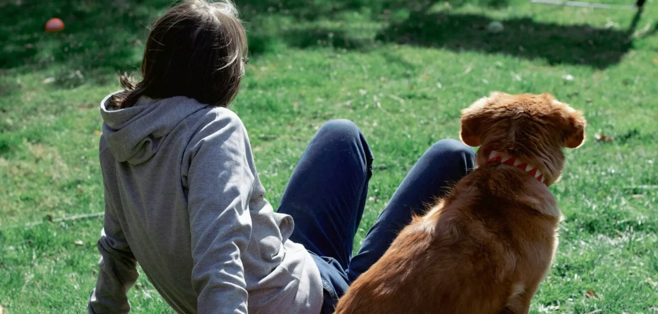 dogsitter chez domianim